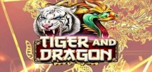 Cách Tham Gia Dragon Tiger Tại Nhà Cái Letou Dễ Dàng