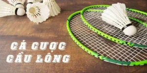 Tham Gia Cá Cược Cầu Lông Tại VUABET: Hành Trình Thắng Lớn